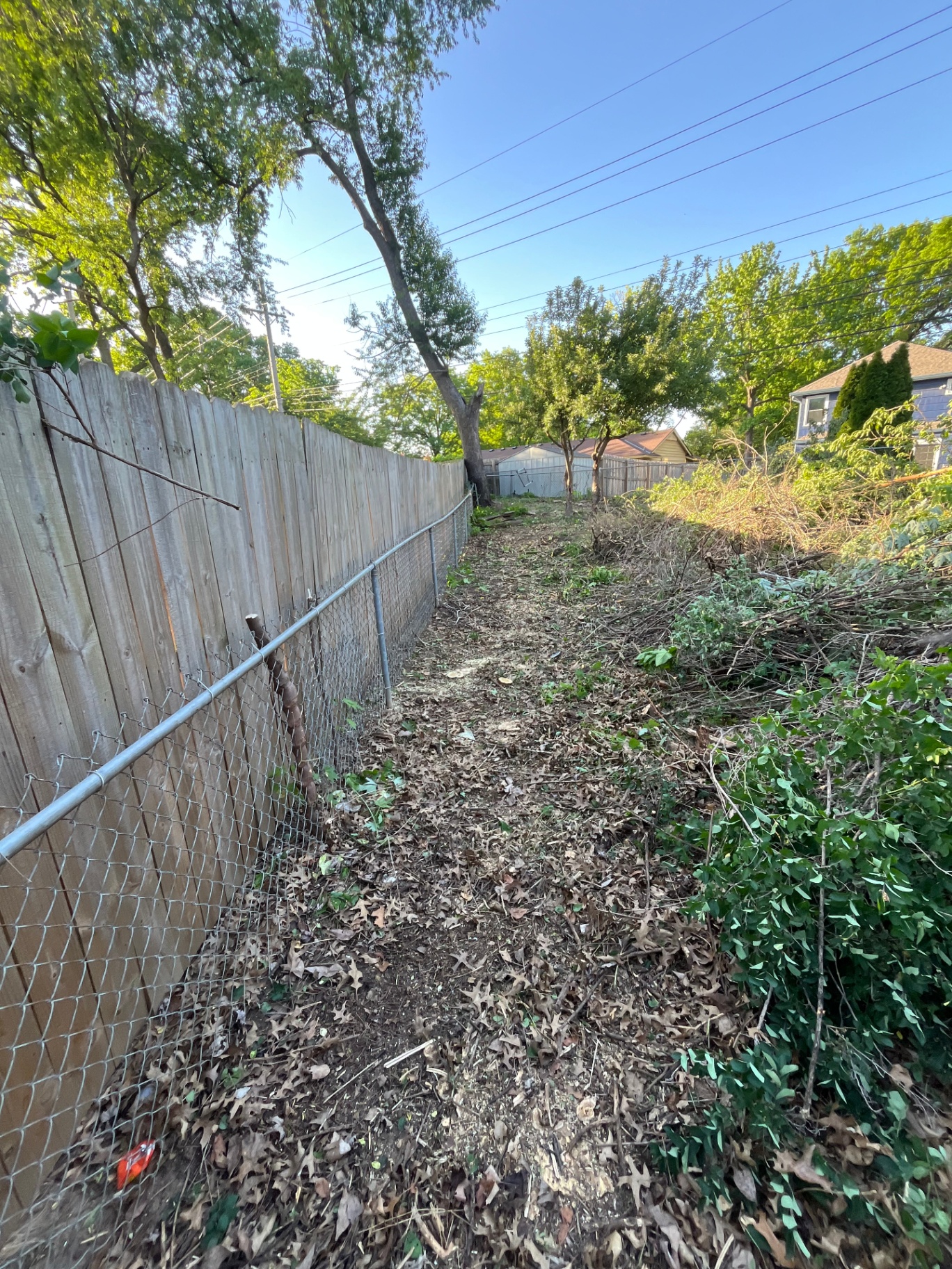 Site progress